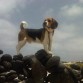 En Canarias con 8 meses
